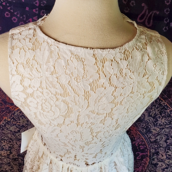 NWT Tobi Off White Lace Sleeveless Deep-V Sheer Back Mini Dress Womens Medium - Picture 8 of 15